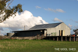 The Woolshed